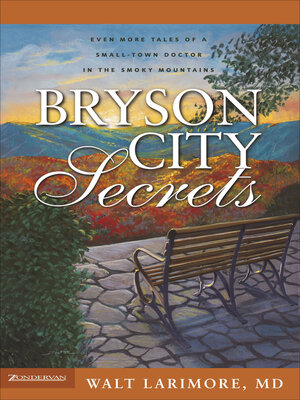 Bryson City Secrets - ebook